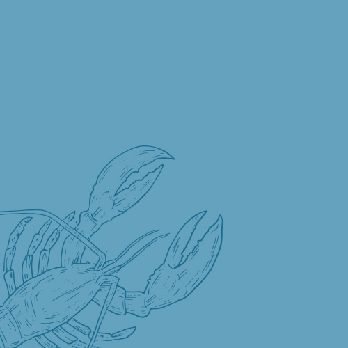 cigalas-frescas-martos