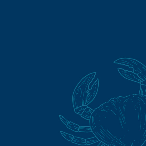 mariscos-cocidos-martos