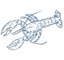 marisco-del-dia-martos