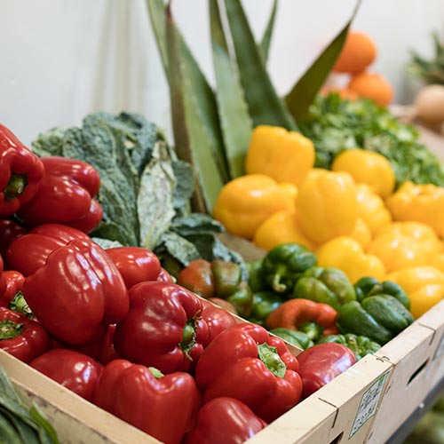 fruta-y-verdura-frutería-en-martos