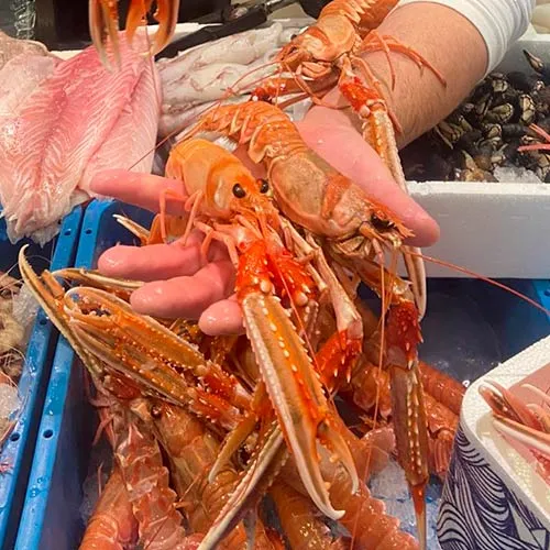 crustaceos-para-hostelería-jaen