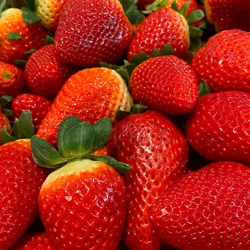 fresas