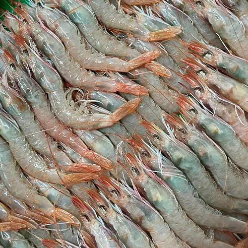 gambas-pescadería-ureña