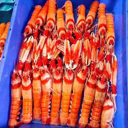 mariscos-hoteleria-martos