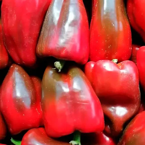 pimiento-rojo